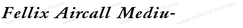 Fellix Aircall Mediu字体转换